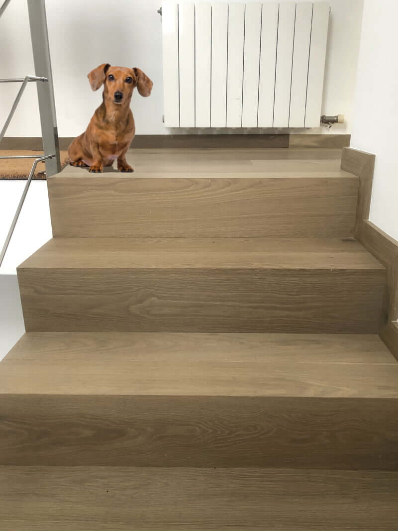 Escaleras con revestimiento de madera